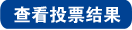 投票结果