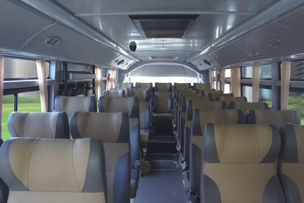 扬子江客车WG6821BEVH