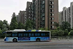 G20峰会,怎么能少得了比亚迪？