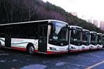辽宁：大连市内184条公交线2017年全部用上绿色公交