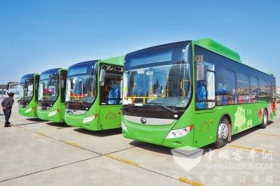 洛阳：2017年内拟新增210辆纯电公交车