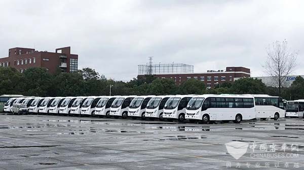 申龙客车 批量订单 出口智利
