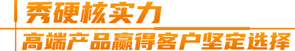 安凯客车 纯电动 A6 出口泰国