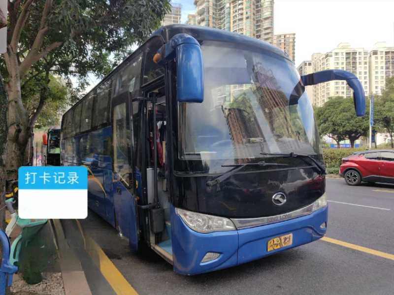 同款2台51座大金龙6113旅游车 