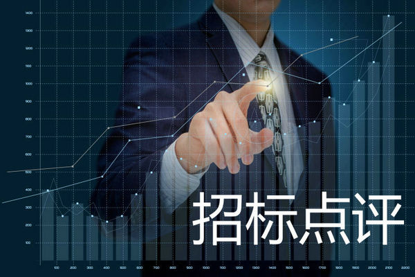 年度点评：2024年城市公交车招标采购数据汇总与点评
