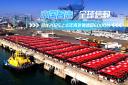 中国智造 全球信赖：金龙2025上半年海外销售超6000台