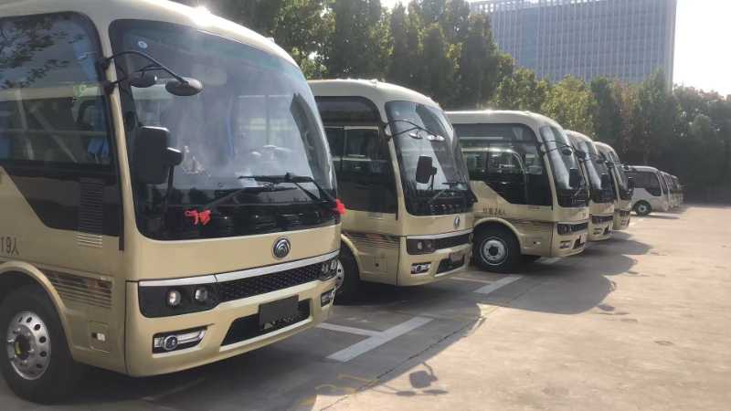 2023年10月 国六有公告19座宇通D6