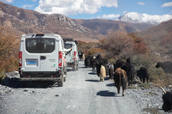 卡车兄弟用口碑加冕！欧霸・山海 硬核座驾