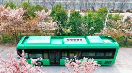 郑州：“公交+文旅”模式，开启春日赏花季