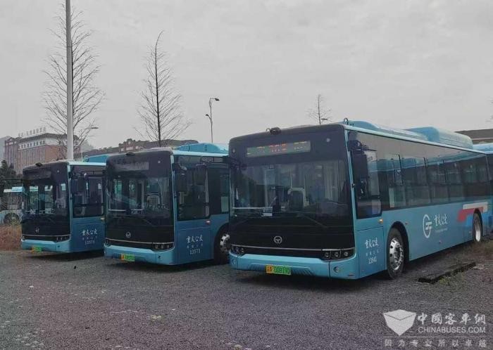 重庆123台新能源纯电车辆上线 投入12条公交线路运营