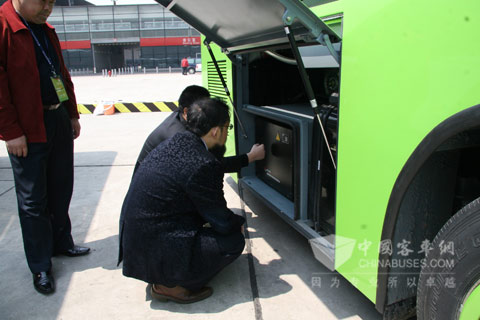 “还是蹲下来看得清楚”