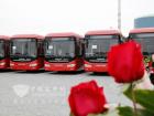 大金龙18米BRT——来自东方的红玫瑰