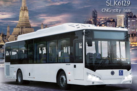 申龙SLK6129