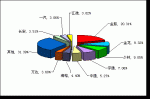 2009年度小型客车销售量TOP10
