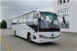 海格KLQ6111YAE60客车（柴油国六24-50座）