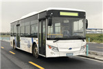 南京金龙NJL6100EV19公交车（纯电动19-37座）