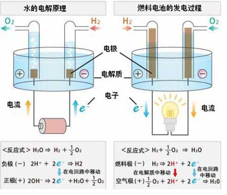 燃料电池的发电原理